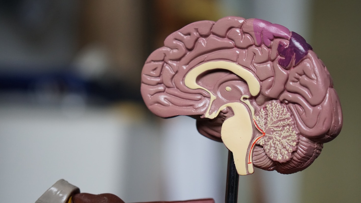 Top Tools to Boost Concentration and Well-being